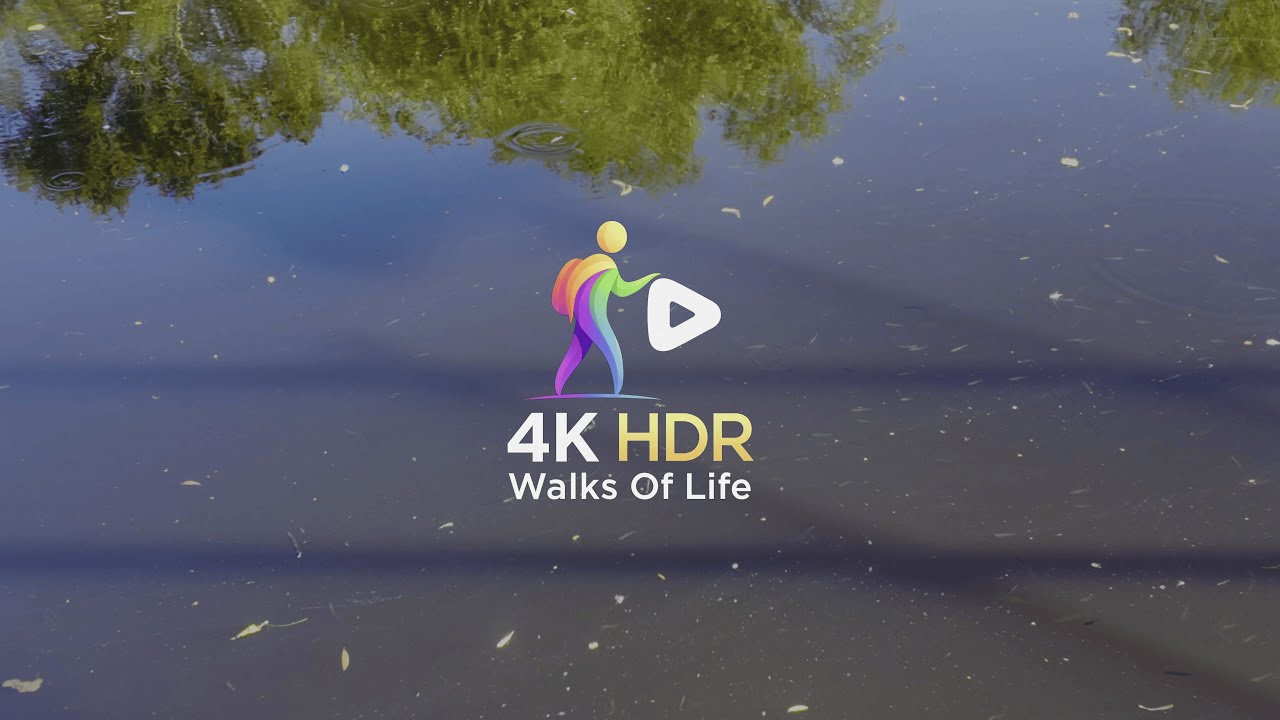 4K HDR - Walks of Life : Pondlife & Tadpoles in the river Severn (Riverscape) (Meditation) (Slow TV)