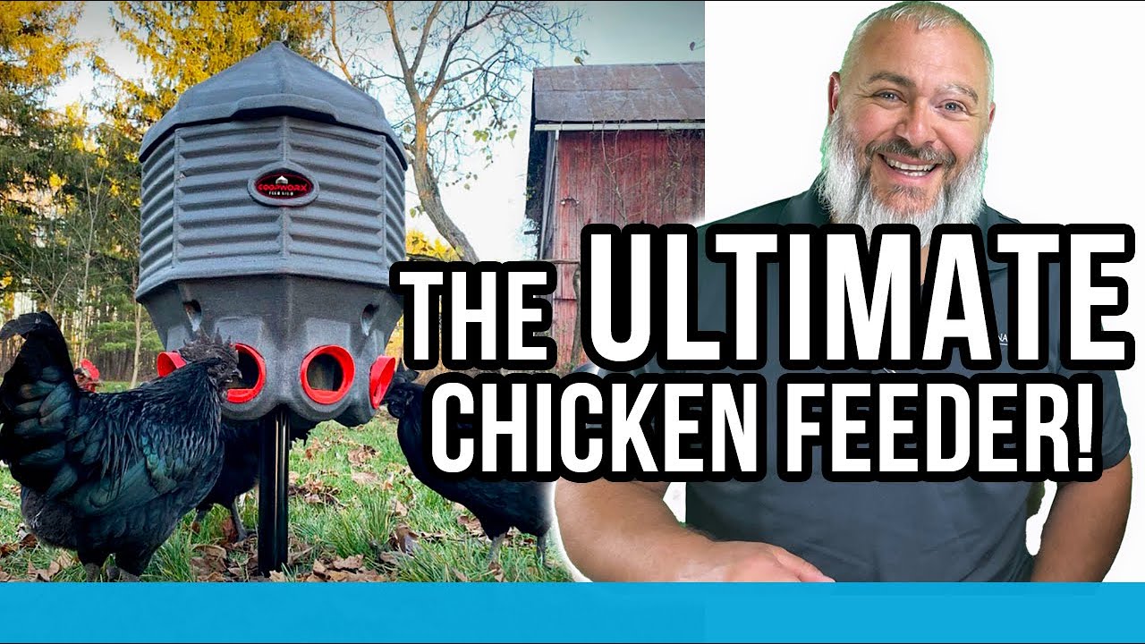 The ULTIMATE chicken feeder? The CoopWorx Feed Silo