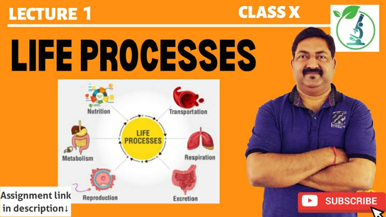 L.1 LIFE PROCESSES | Ch.6 | Class X | Biology
