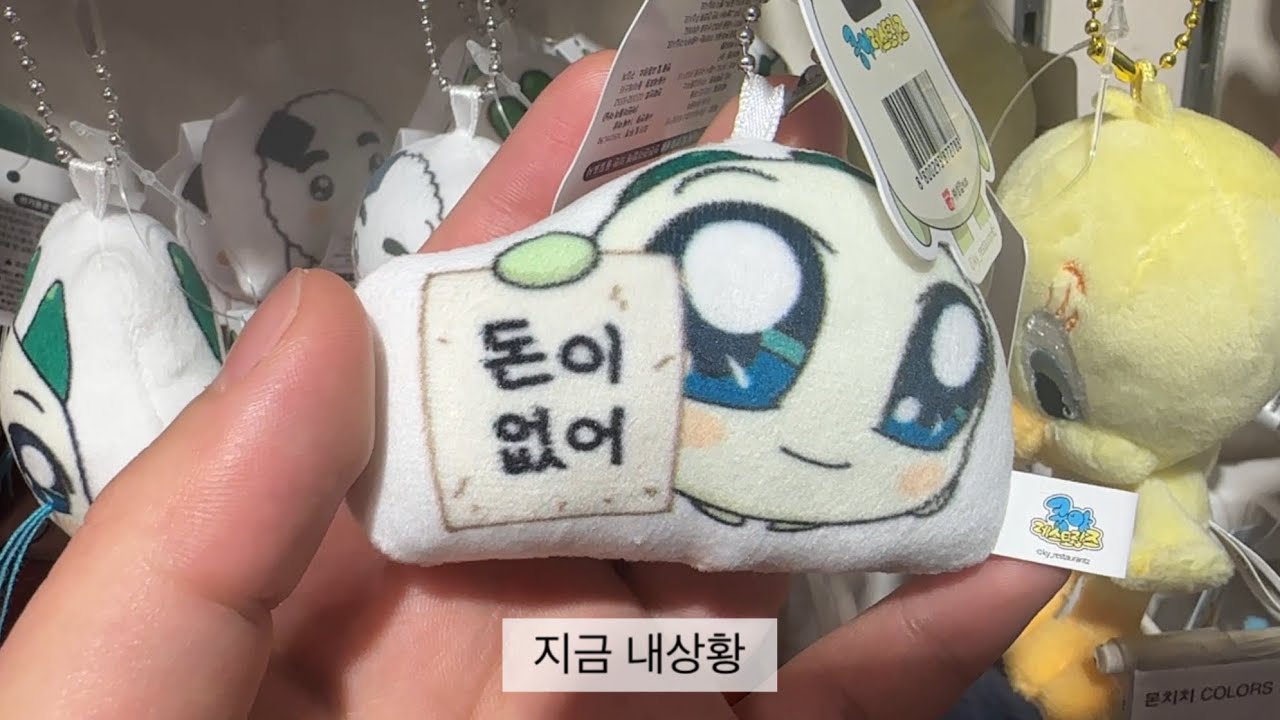 내 월급은 다 어디로 갔는가?🤔 (???: 인뽑) [산리오,귀칼,귀멸의칼날,짱구,브라더굿즈,짱구피규어,불고기로드,쿵야,인형뽑기,중독,일상]
