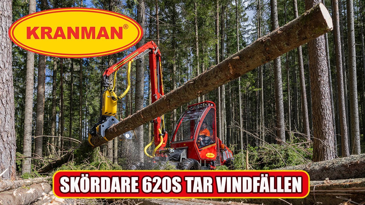Skördare Kranman 620S tar hand om stora vindfällen
