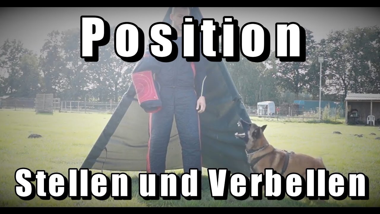Positionstraining - Stellen und Verbellen | Tony Kliebisch