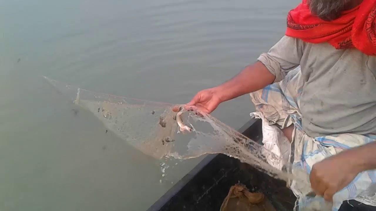 Traditional Net Fishing In The River Catch Fresh FishHD 2019