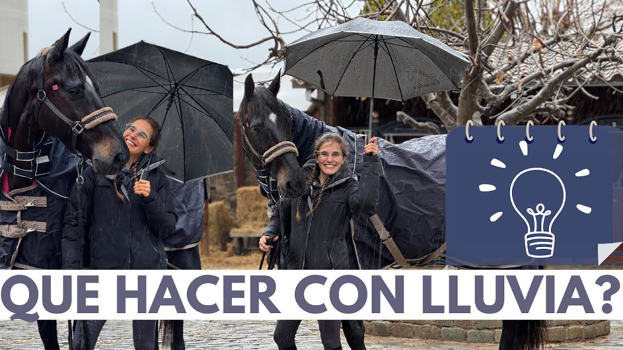 VLOG – Cosas que hacer cuando llueve ☔️en la hípica 🎠, fisio y veterinario 👩🏽‍⚕️para Liberty