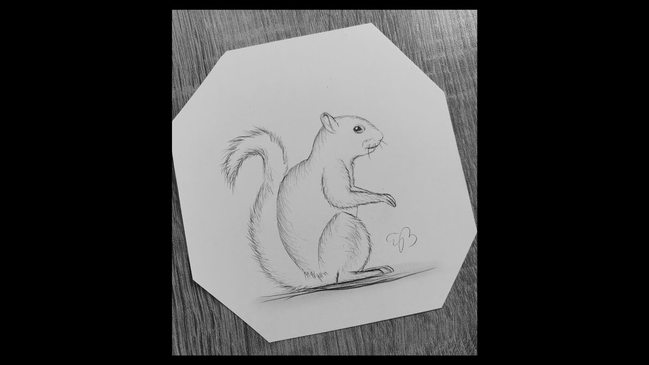 How To Draw A Squirrel Easy Step By Step