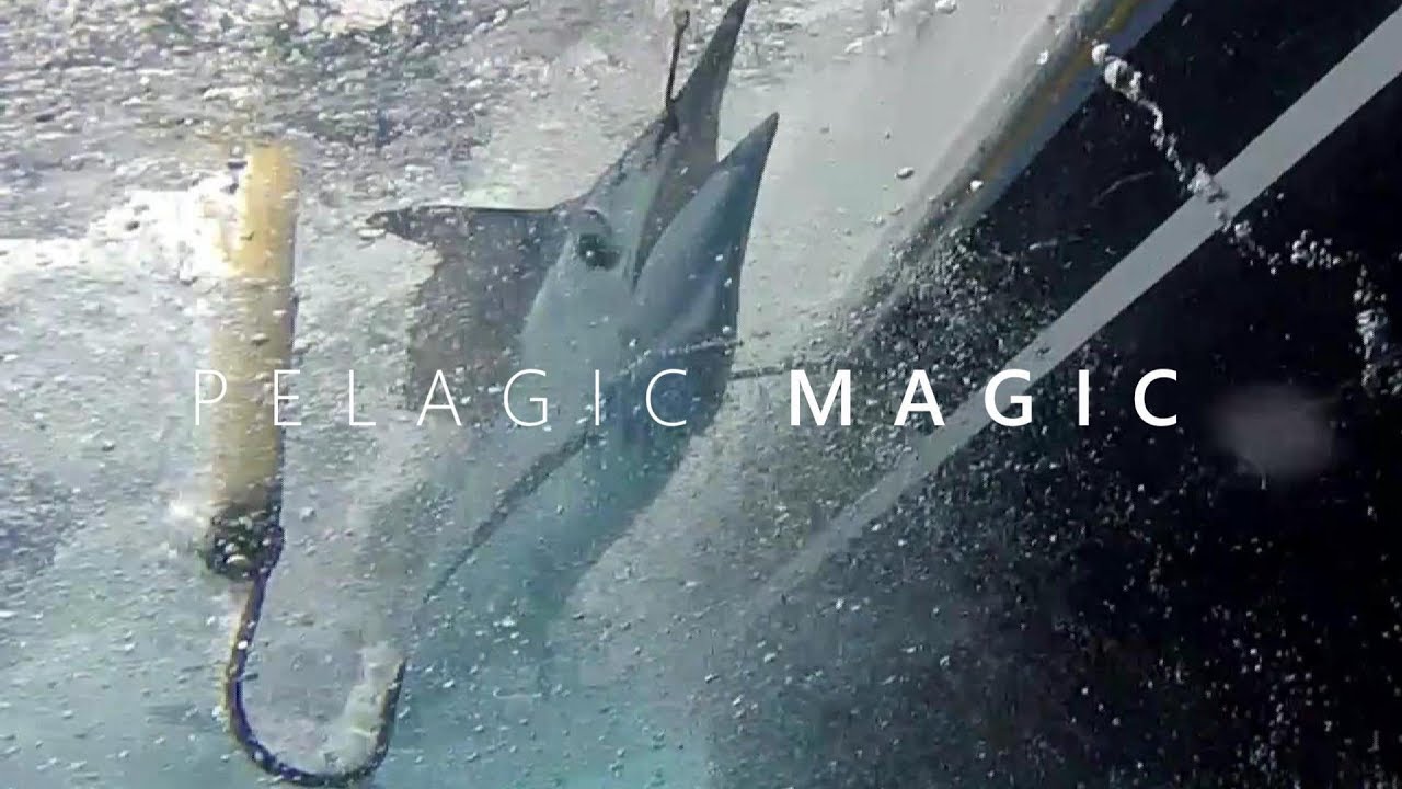 Pelagic Magic (Hawaii Fishing)