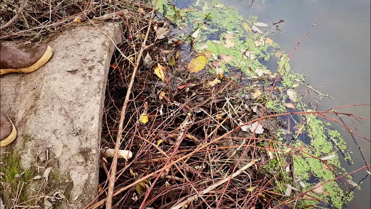 Unclogging Beaver Dam Clogged Culvert