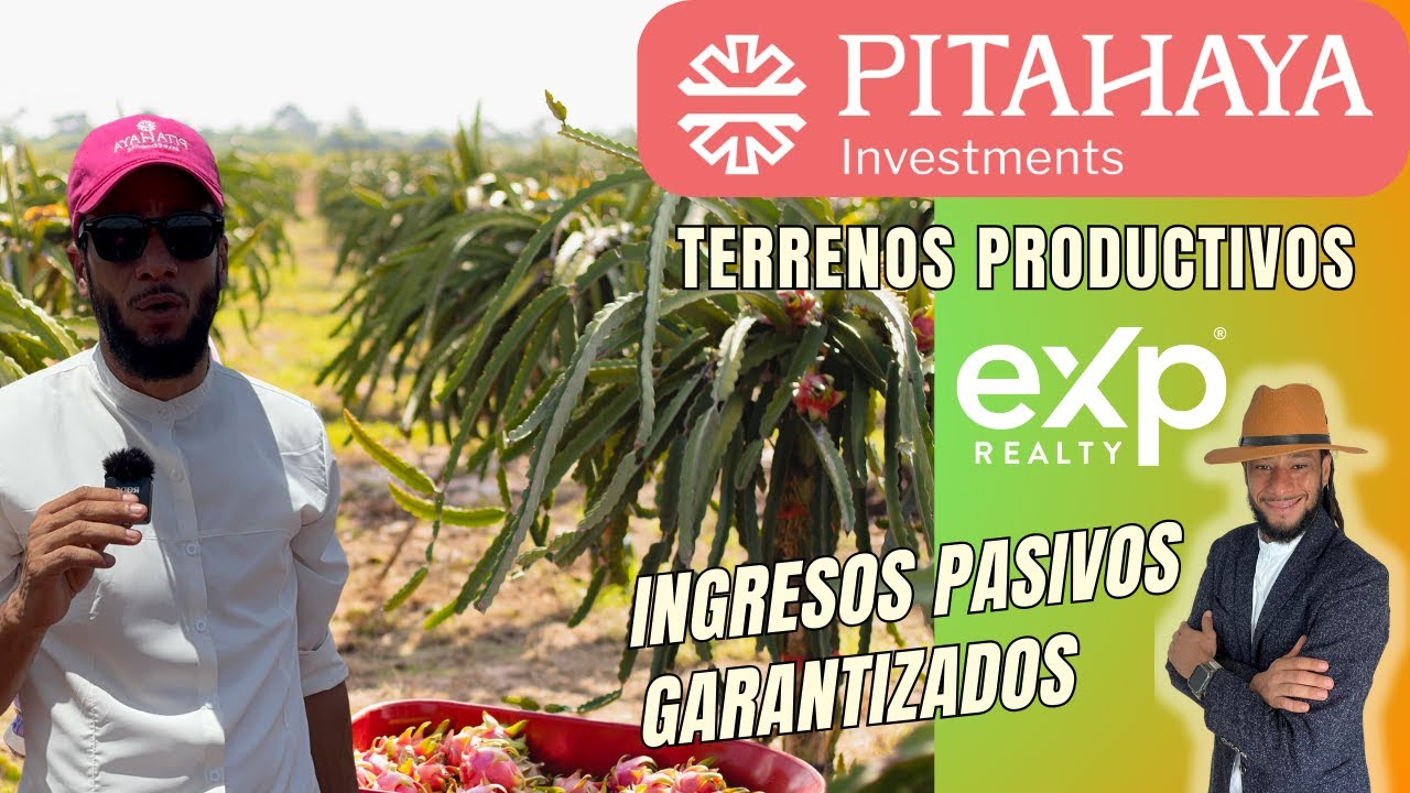 Plantación más GRANDE de Pitahaya, Compra un Terreno y Rentalo. ROI GARANTIZADO. Sep 2025
