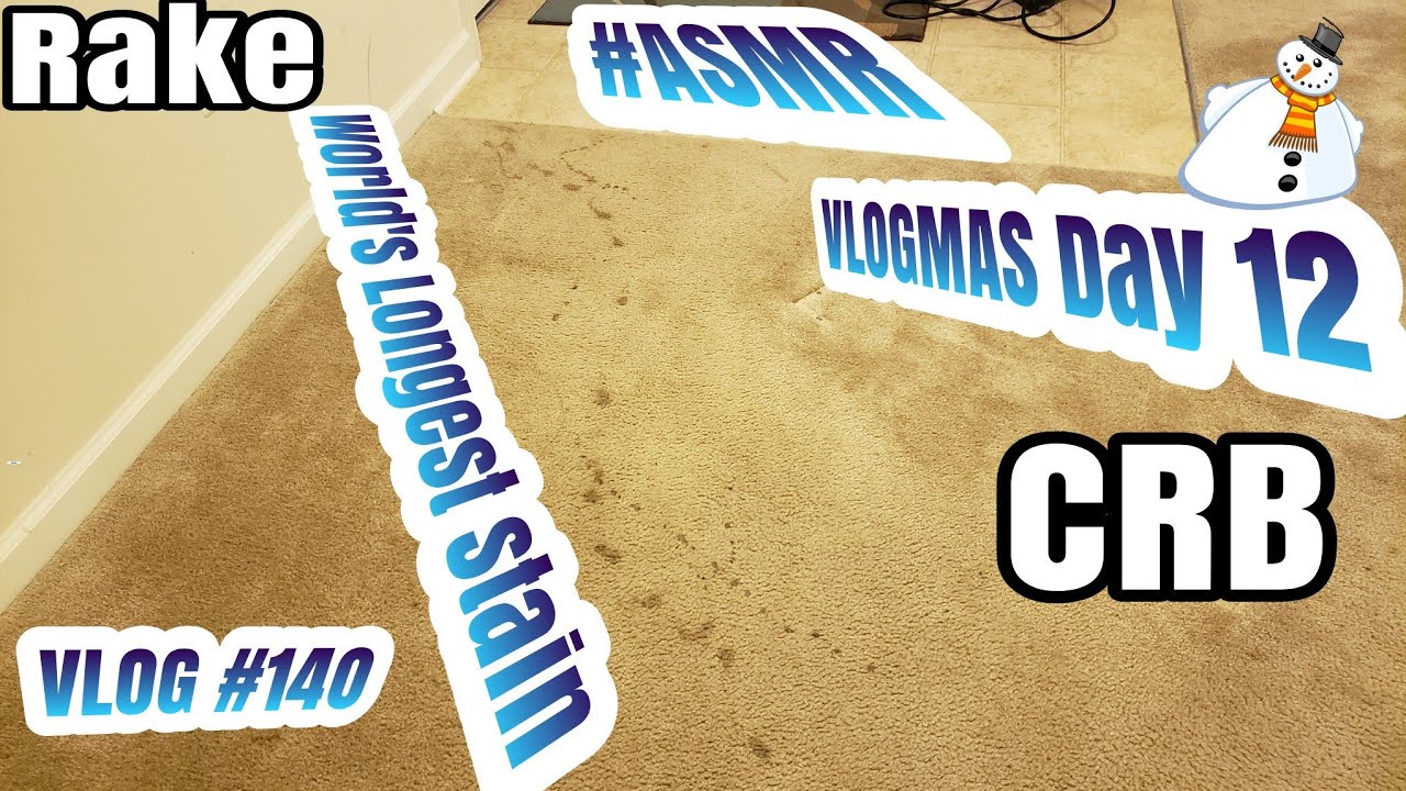 World's longest Stain| CRB Magic| Amazing Carpet lines| VLOGMAS Day 12| Cc vlog Episode 140