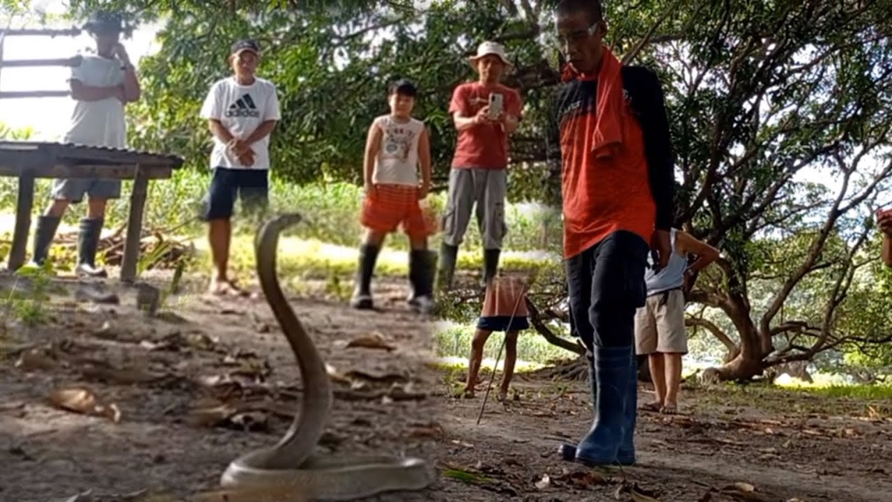 MAG ASAWANG COBRA SA MAPANDAN, PANGASINAN
