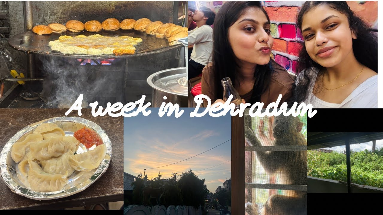 A very laidback week in Dehradun🥱 (good food 🥟+good weather🌧️)