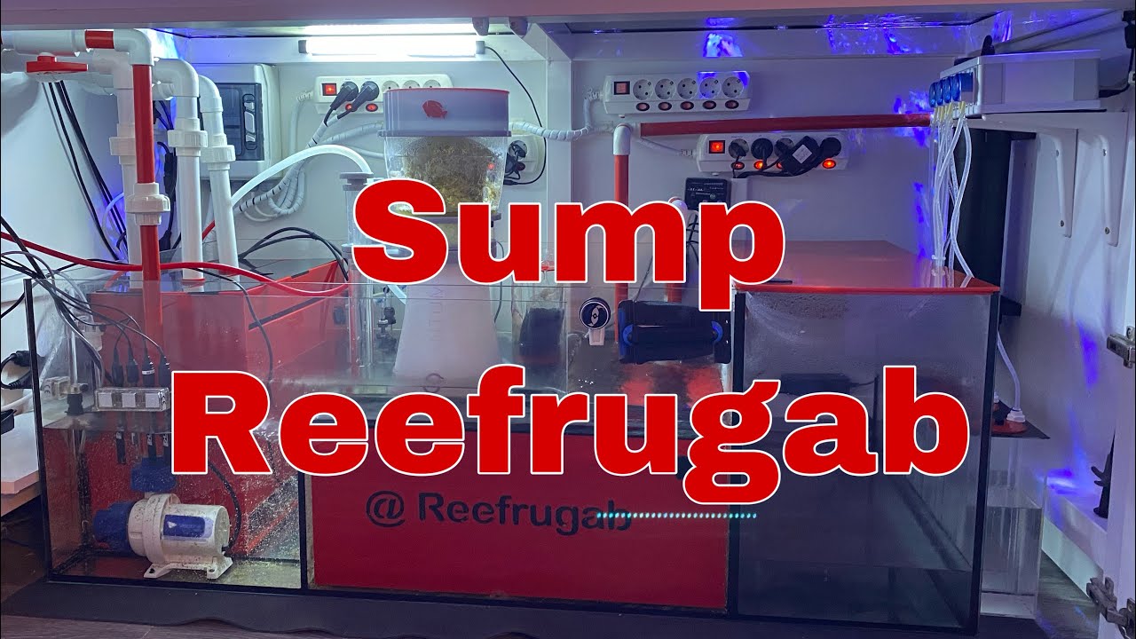 Sump y Novedad en Filtración Mecánica (LittleArtMarine)