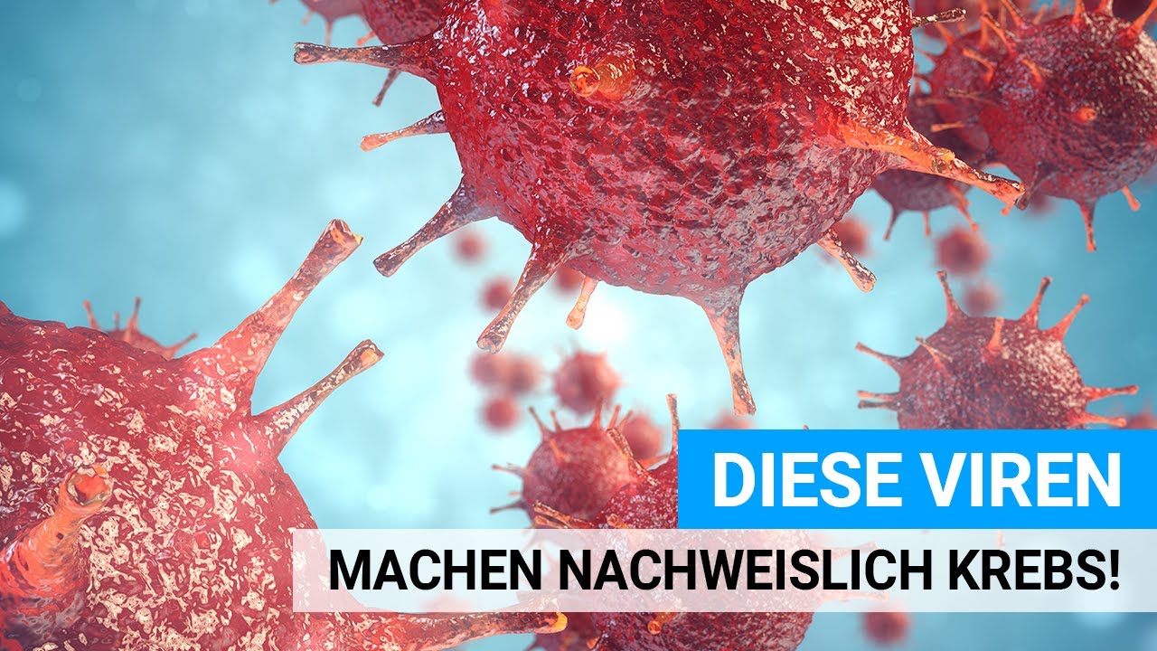 Diese Viren machen nachweislich Krebs!