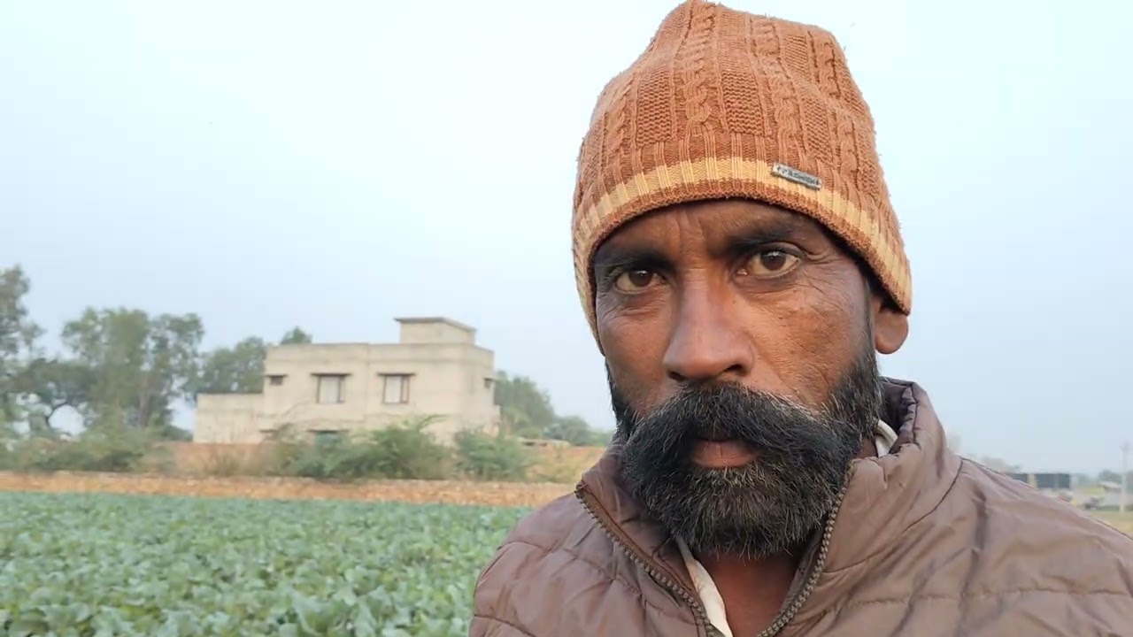 ਗੋਭੀ ਜਟਣਾ ਫਾਰਮ 