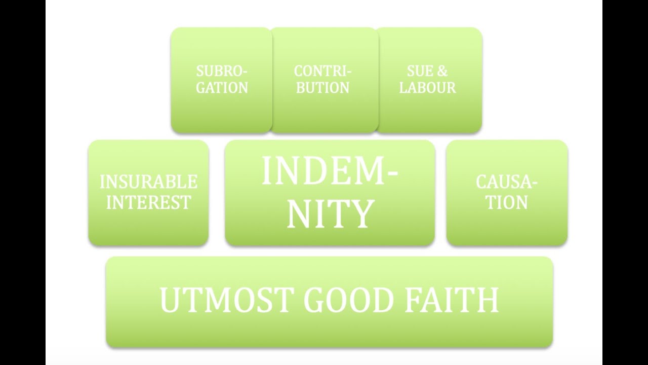 1 3 Seven Principles of Insurance