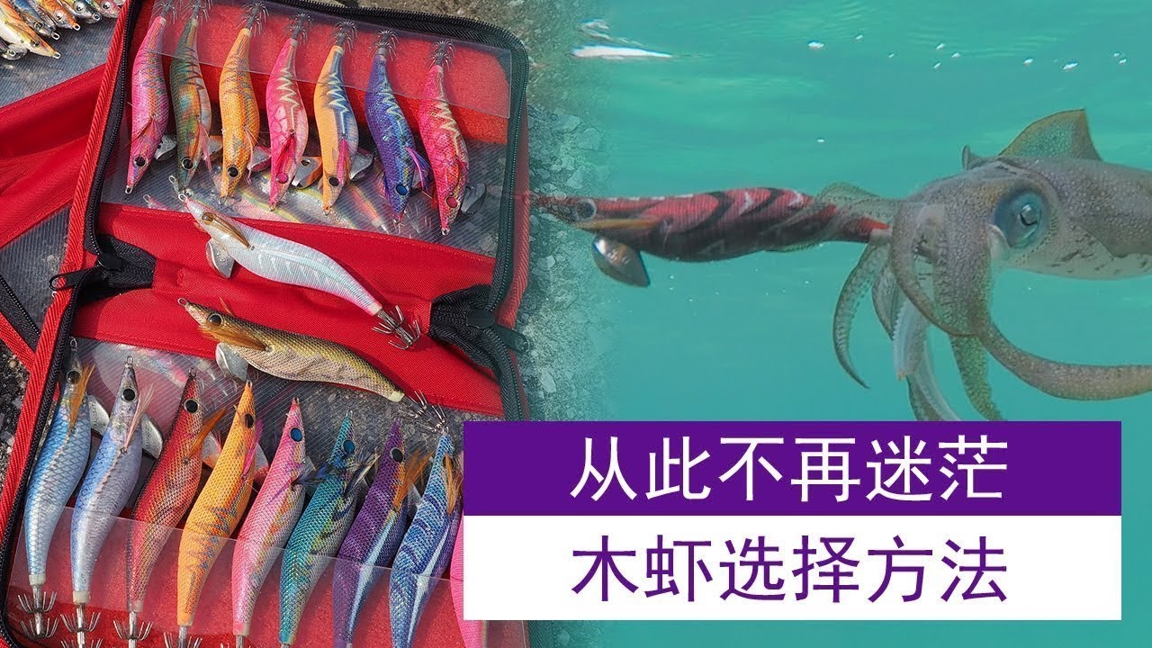 进阶讲座之木虾选择篇