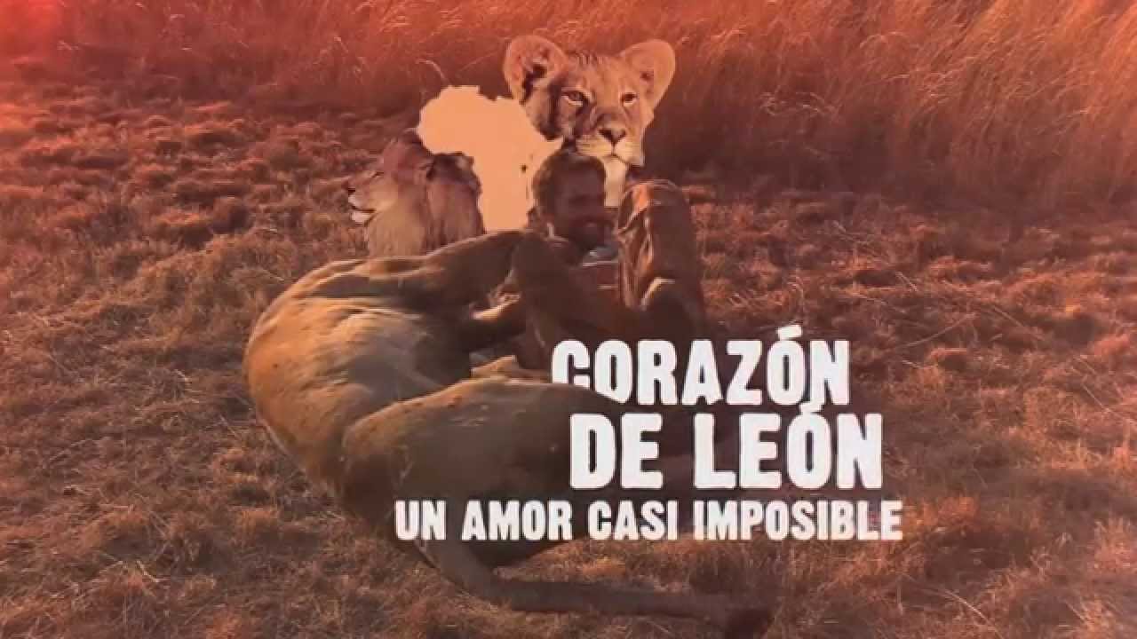 Telenoche - Coraz&oacute;n de Le&oacute;n - Parte II