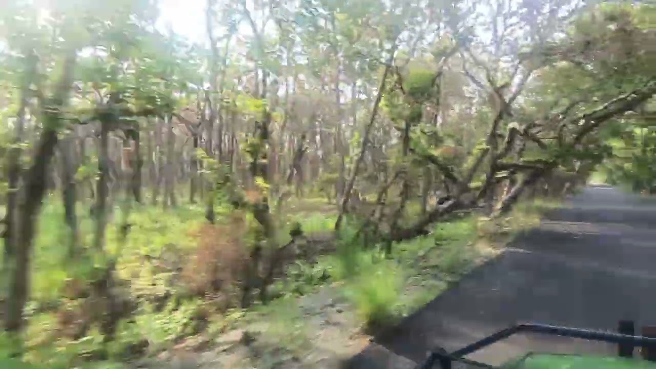 chuka beach tiger reserve