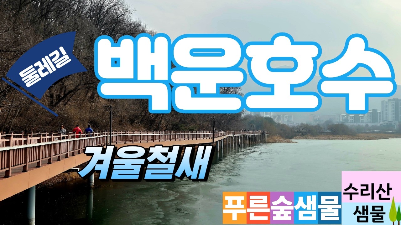 백운호 #백운호수 #토요모임 #백운호수트레킹 #겨울철새 #겨울나들이 #둘레길