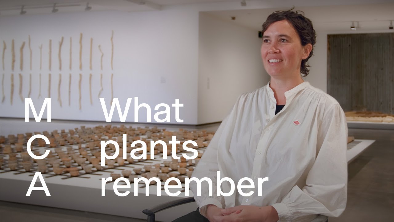 How plants, ash and clay tell Earth’s history | Yasmin Smith: Elemental Life