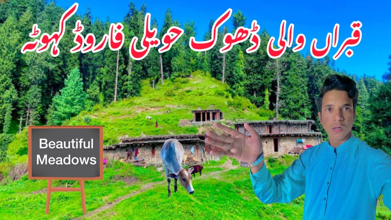 Qabra wali dhok || Haveli forward Kahuta Azad Kashmir || beautiful meadows ￼