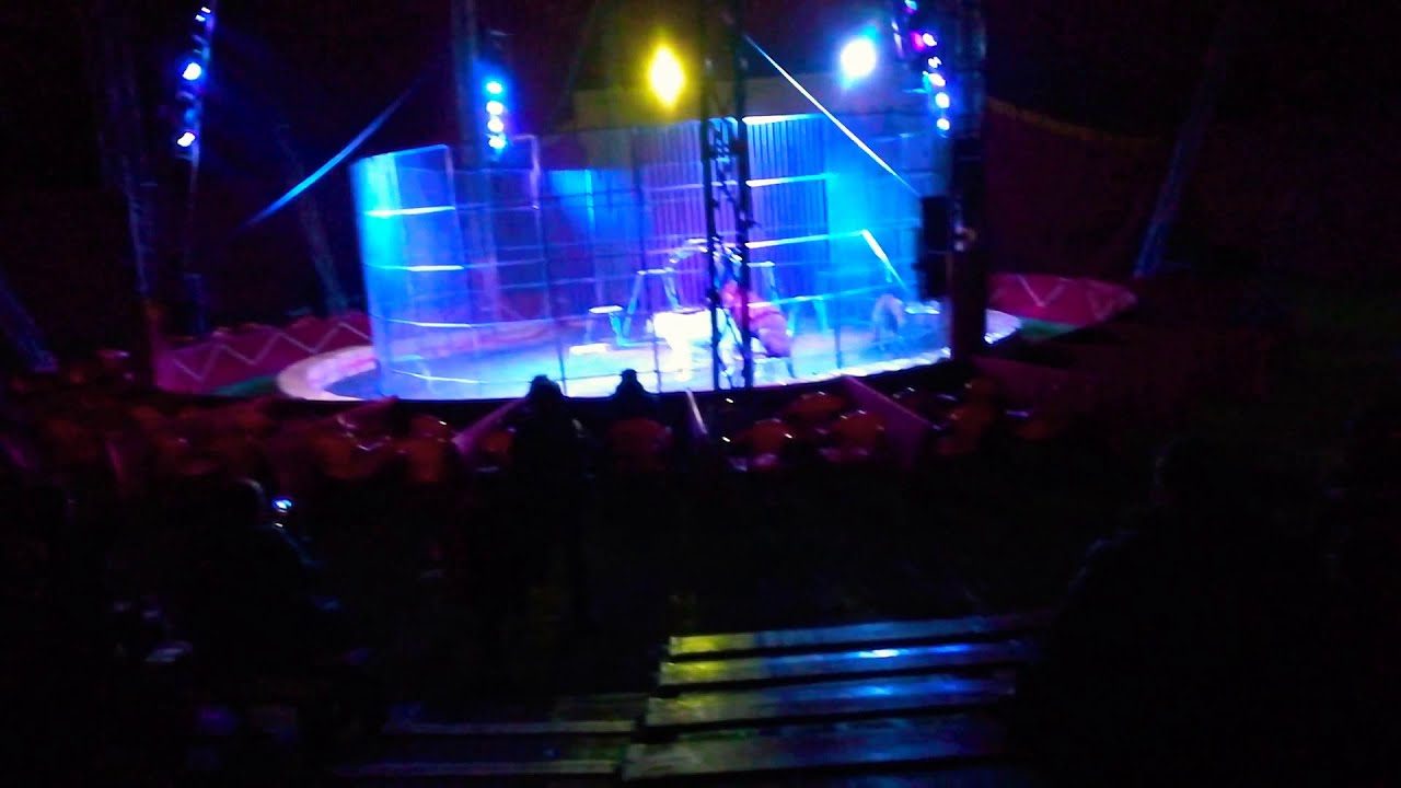 Circo Terzigno Nicolay circo Montecarlo 03 Genn 2020
