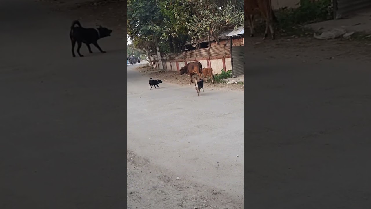 Уличная драма 😂😂😂
