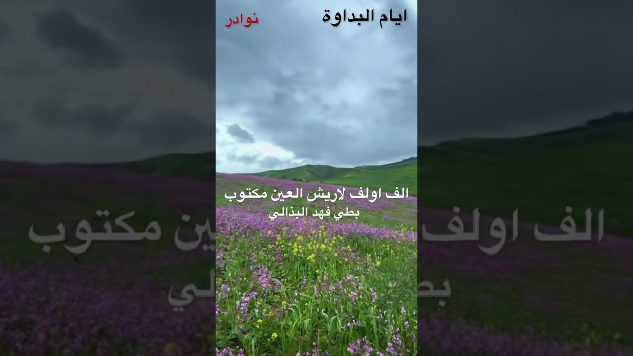 الفنان بطي البذالي // الف اولف لاريش العين مكتوب