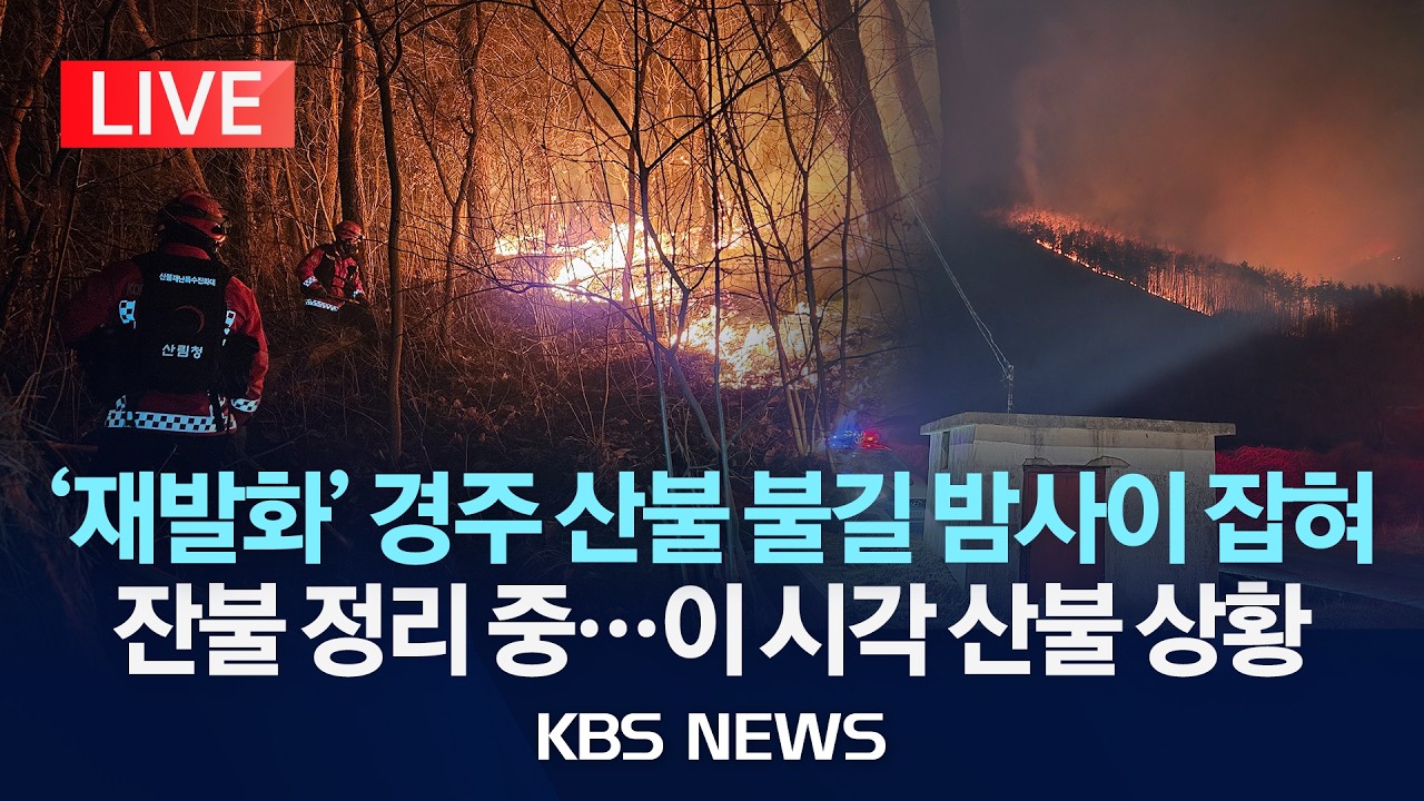 [🔴LIVE] 경북 경주 문무대왕면 산불 재발화심야 필사의 진화...이 시각 현장/2026년 2월 9일(월)/KBS
