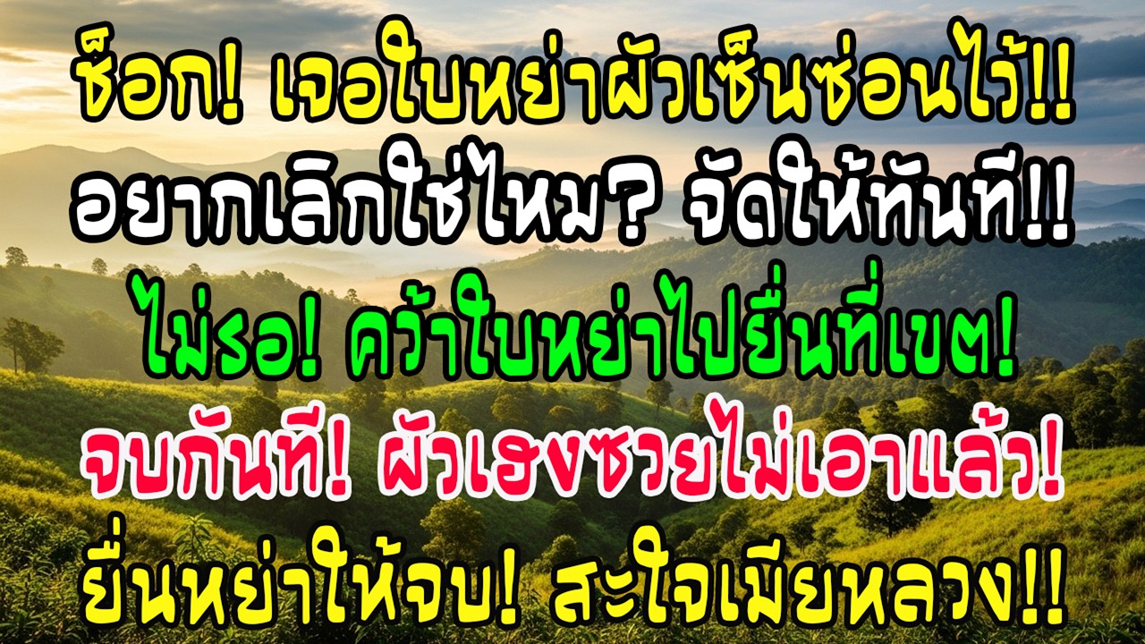 เก็บของในคอนโด ฉันเจอใบหย่าที่สามีเซ็นซ่อนไว้ในลิ้นชัก และฉันก็หยิบไปยื่นเขตทันที