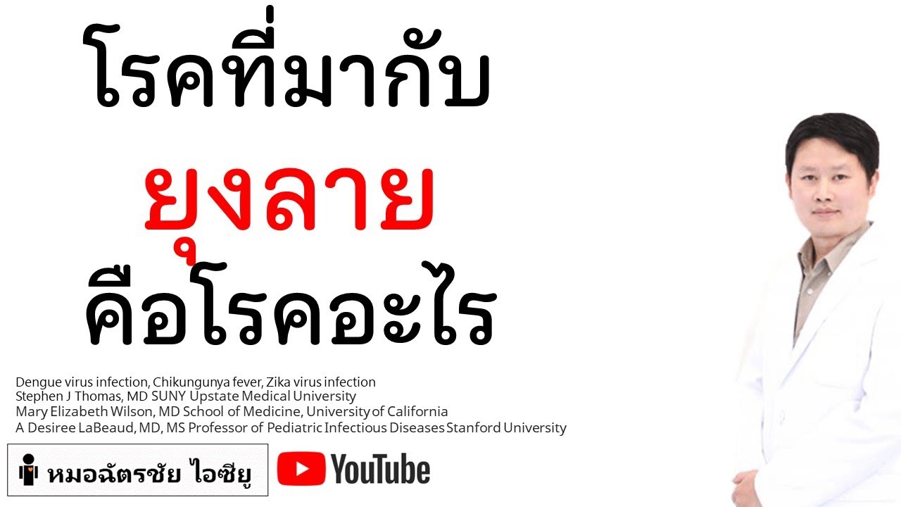 โรคที่มาจากยุงลาย #ไข้เลือดออก  #ชิกุนกุนยา #ซิกา