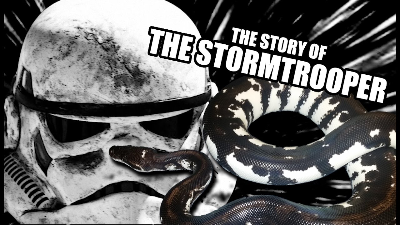 The Story of the Stormtrooper - HerpersTV S3:Ep29