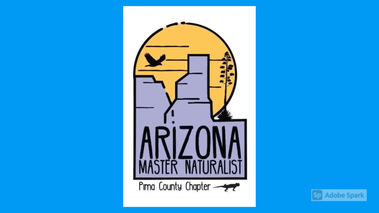 What is a Master Naturalist?