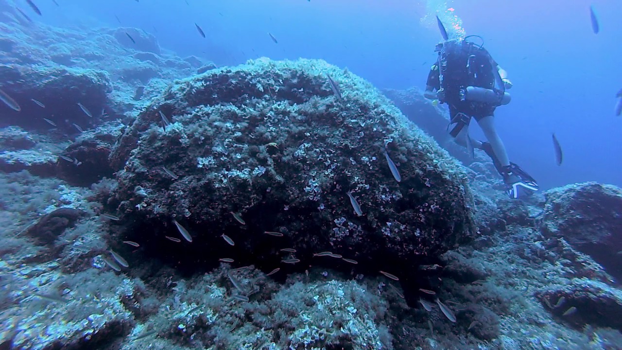 Diving @ Fleves