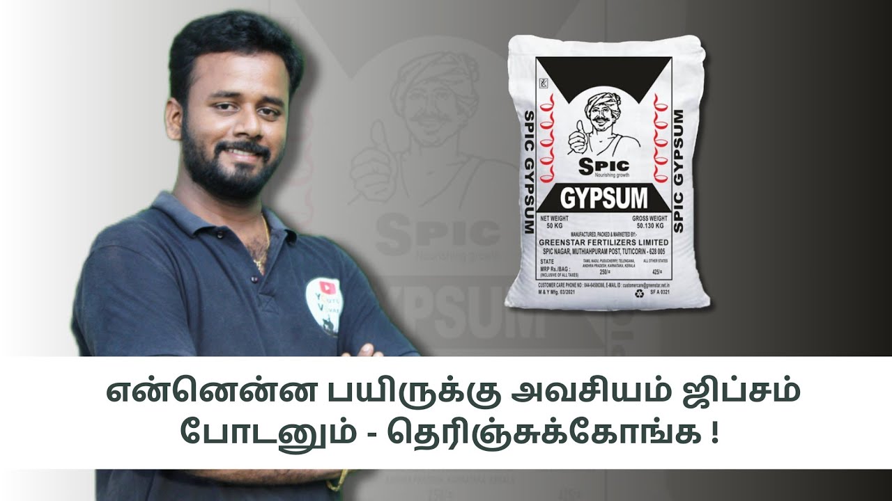 gypsum என்னென்ன பயிருக்கு போட கூடாது -இதை தெரிந்து கொள்ளுங்கள்.