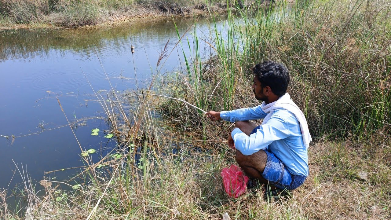 Fishing video😮😱 | Nice to see incredible fishing scene of  expert village boy | hobby 2 catch | E-15