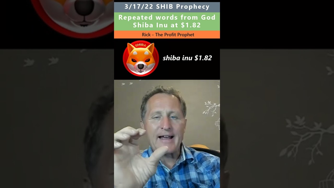 Пророчество о сиба-ину за 1,82 доллара &mdash; The Profit Prophet 17.03.22