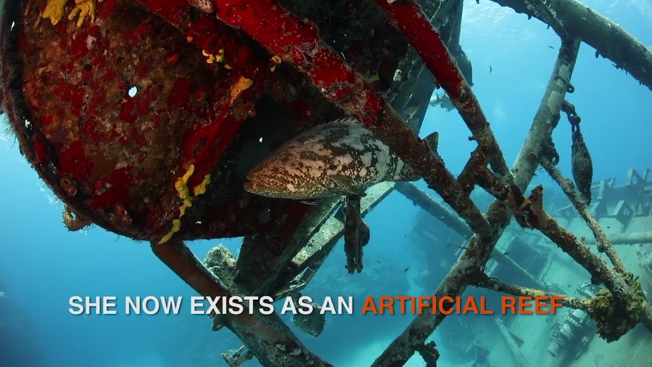 Grand Cayman - Kittiwake Shipwreck