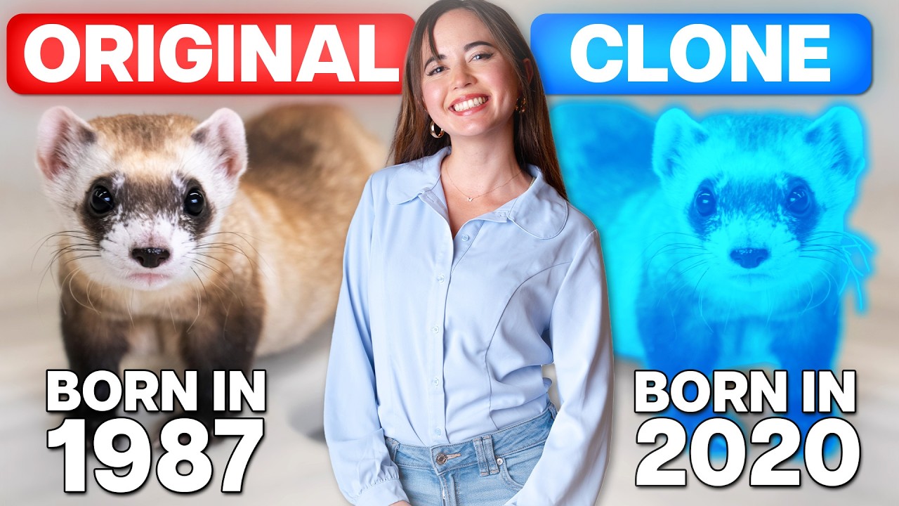 How This Zoo Is Saving Endangered Species With Cloning