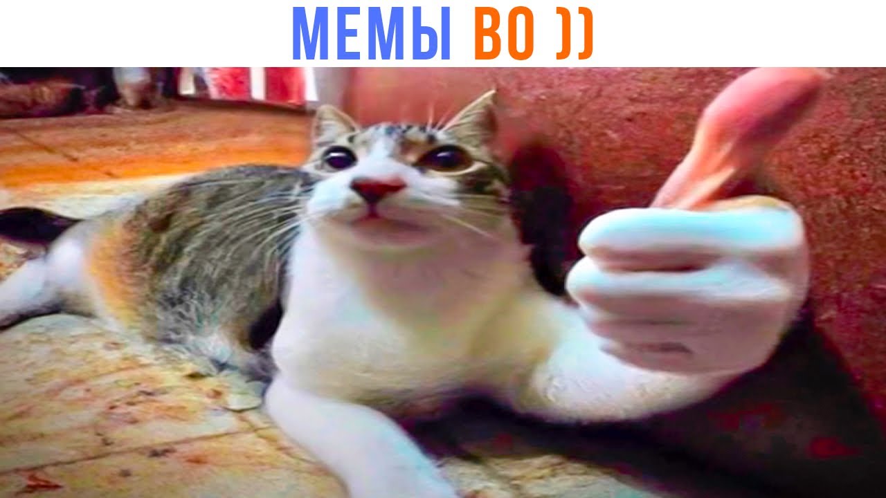 ВОТ ТАКИЕ МЕМЫ! ))) | Приколы | Мемозг 1374