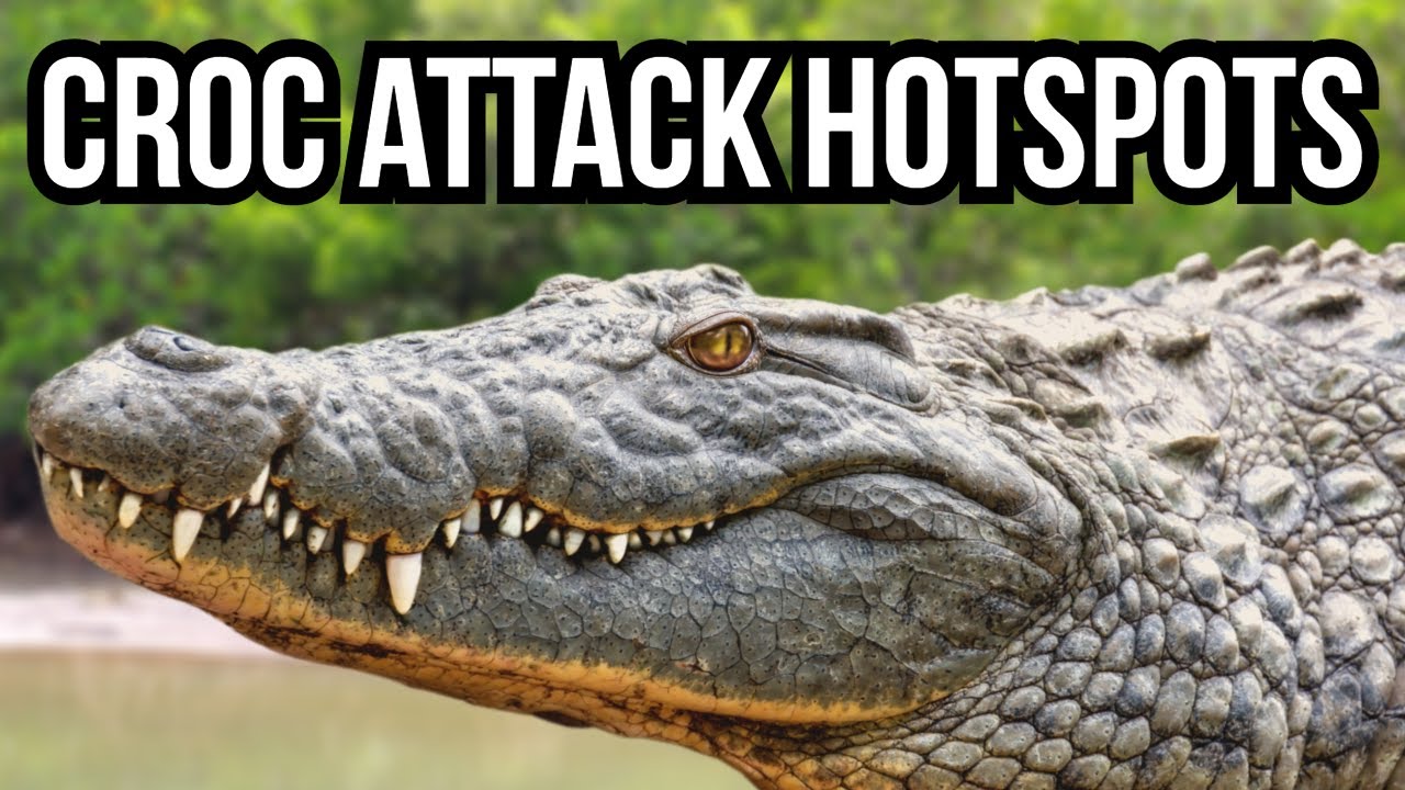 4 самых смертоносных крокодила и самые опасные места их нападений