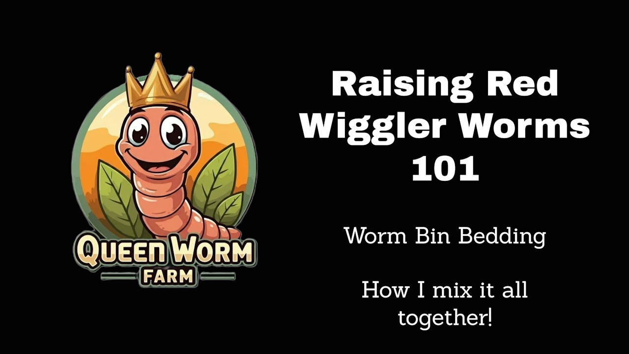 Raising Red Wiggler Worms 101: How I Mix my Worm Bin Bedding Together!