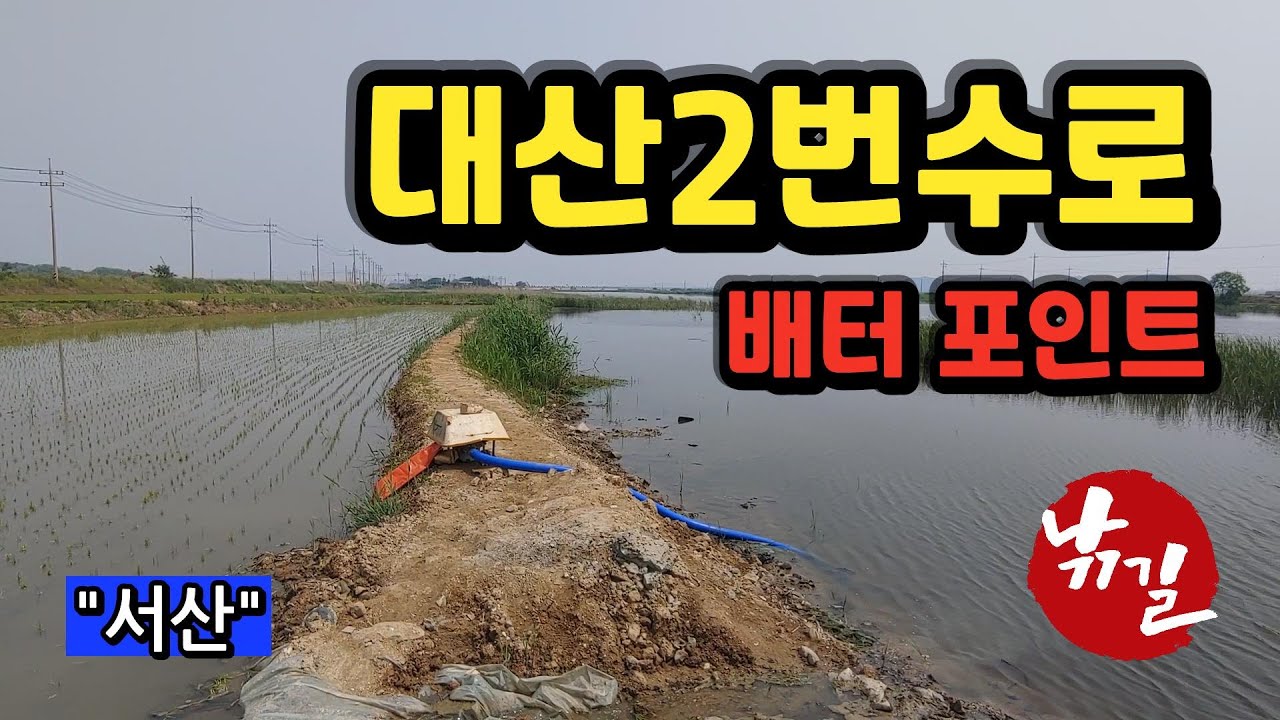 [서산]_ 대산 2번 수로 배터 포인트 / 항상 기본 이상 하는 곳~!!