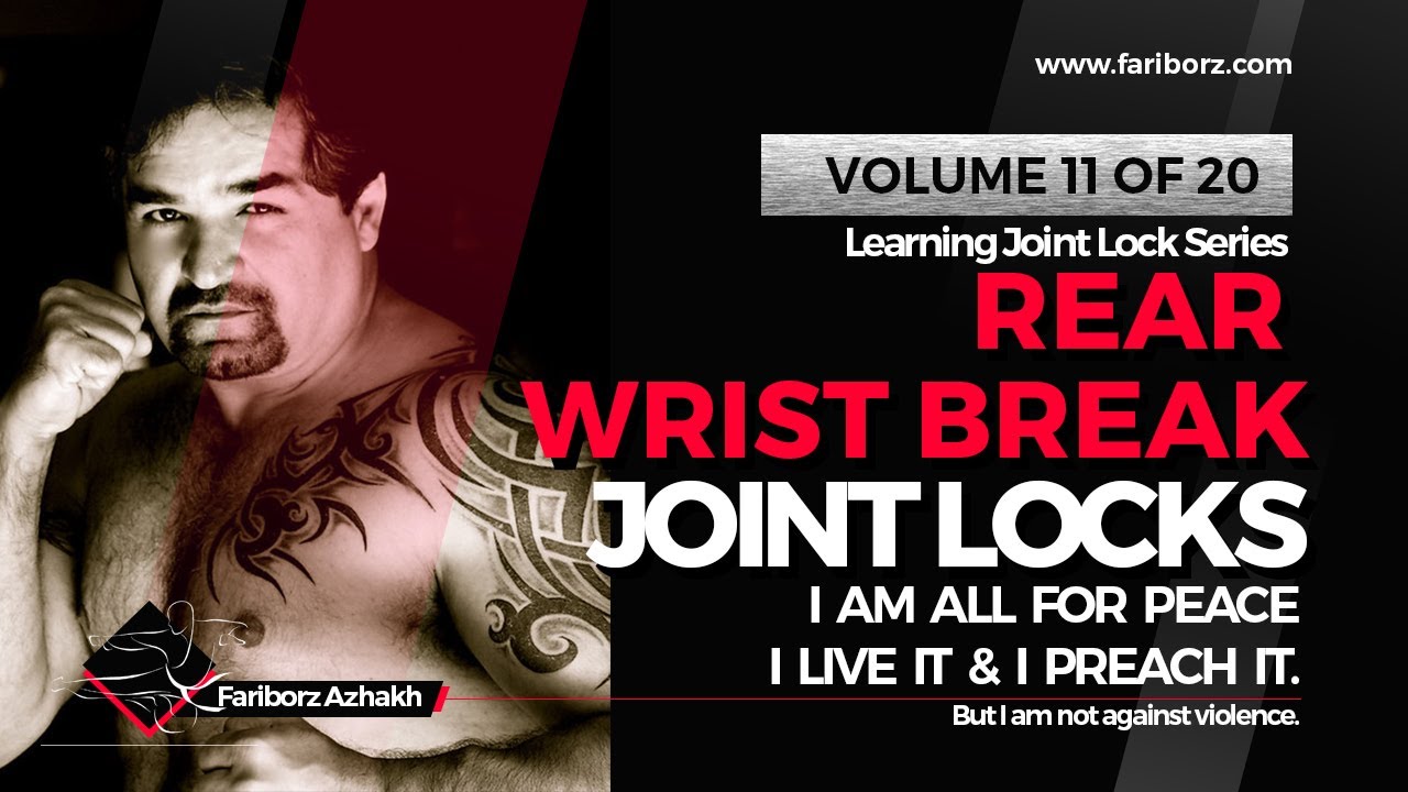 Learn Joint Locks - Vol 11 of 20 - Rear Wrist Break