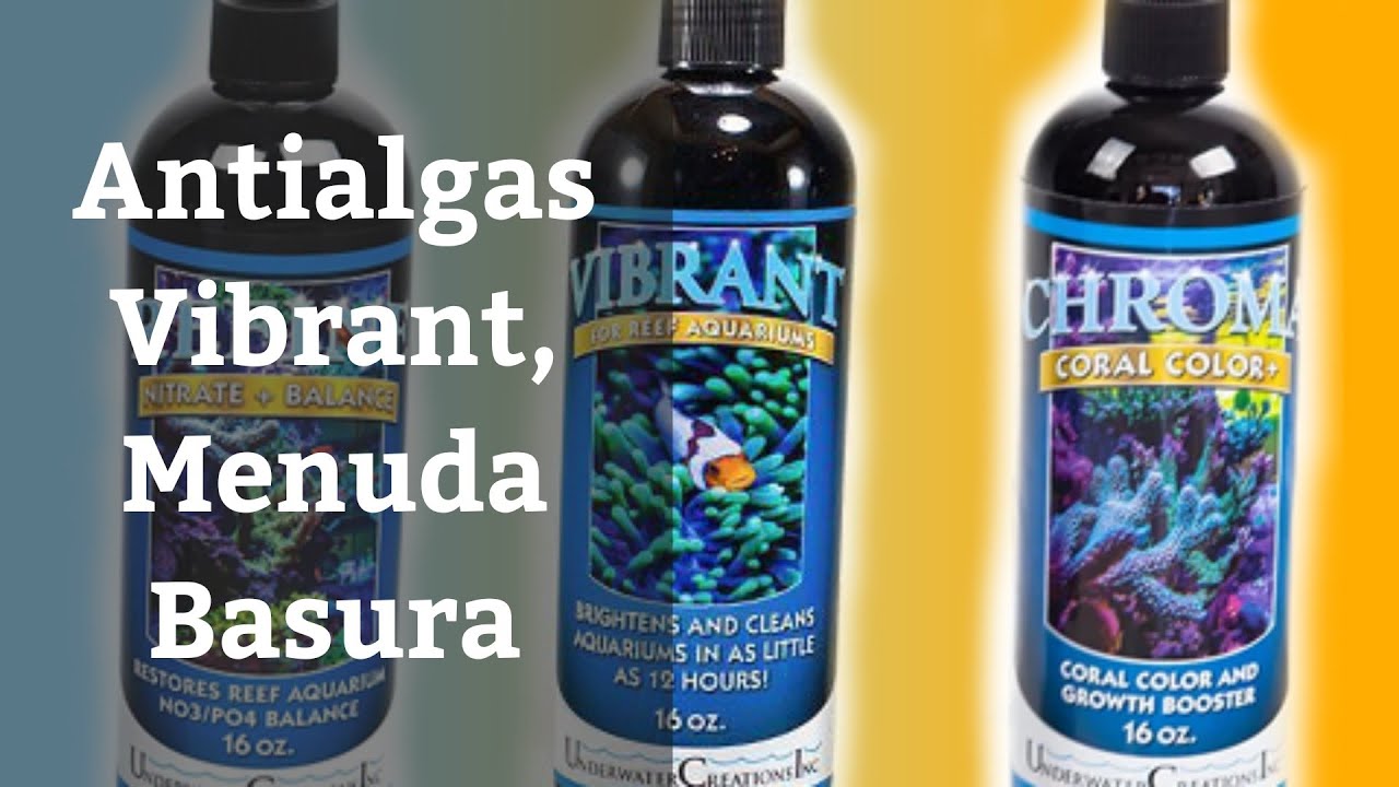 🔵 Antialgas Vibrant,Menuda Basura (Acuarios MB)