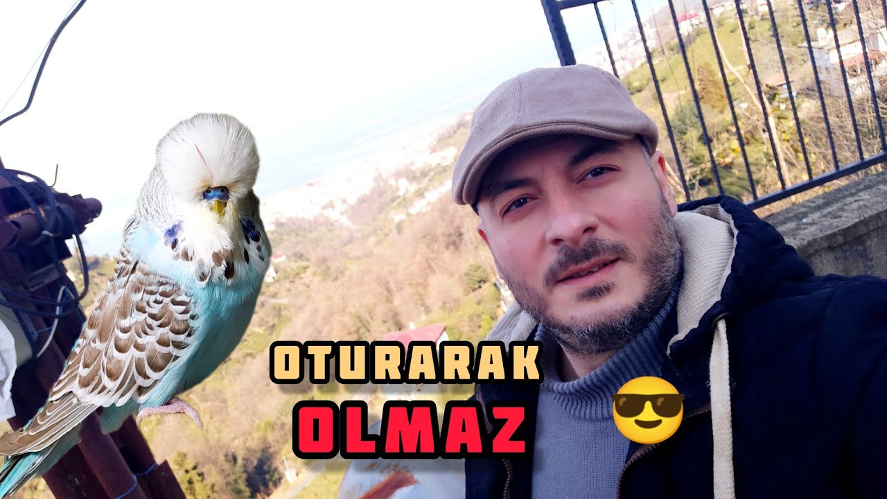 Pazar Günüm Nasıl Geçiyor? l Neler Yapıyoruz l Muhabbet Kuşu Üretimhanesi l Vlog