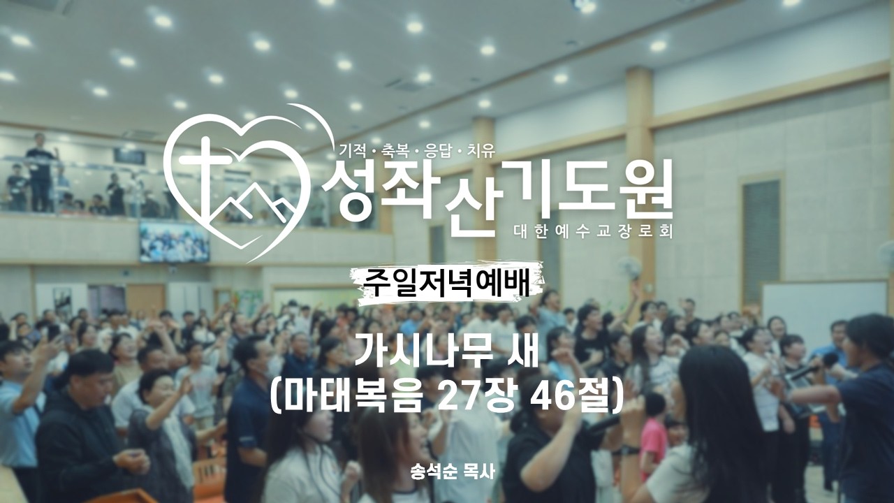 2026-02-22ㅣ주일 저녁 예배 ㅣ 송석순 목사ㅣ가시나무 새 ㅣ 마태복음 27장 46절ㅣ