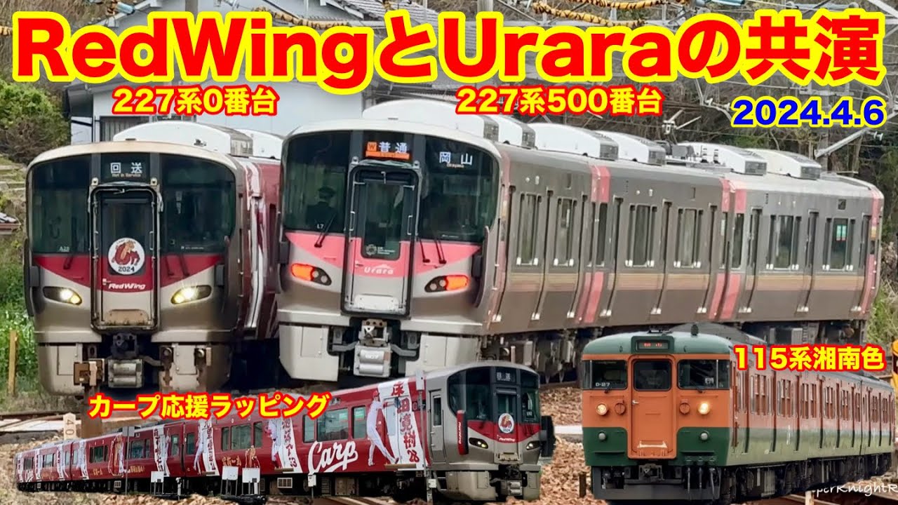 【227系RedWingとUraraの共演 115系湘南色も♪ 糸崎駅 2024.4.6】