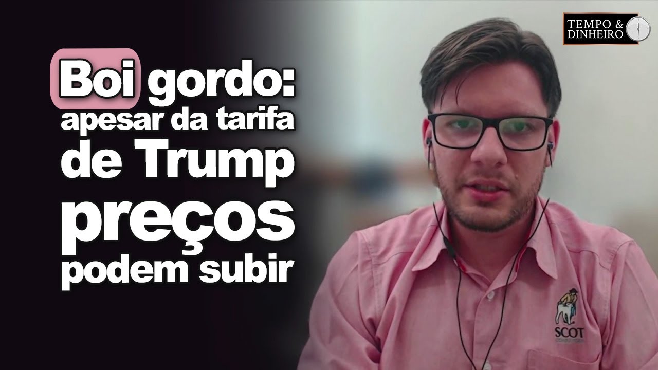Boi gordo: apesar da tarifa de Trump preços podem subir  neste segundo semestre?