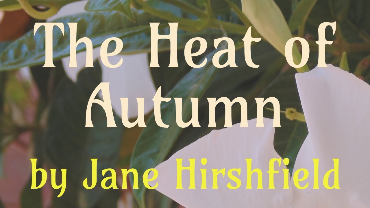 The Heat of Autumn by Jane Hirshfield (#reading)